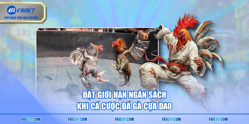 Đặt giới hạn ngân sách khi cá cược đá gà cựa dao