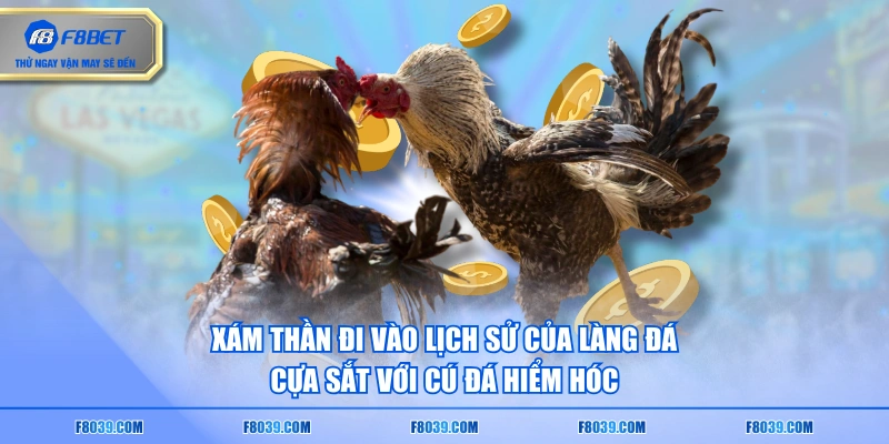 Xám Thần đi vào lịch sử của làng đá cựa sắt với cú đá hiểm hóc